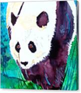 Panda Canvas Print