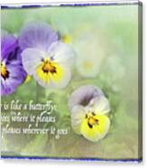 Pansies And Butterflies Canvas Print