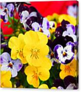 Pansies And Red Cart Canvas Print