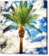 Paradise?  #tree #palmtree #hdr #sky Canvas Print