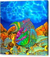 Parrotfish And Smallmouth Grunt Canvas Print