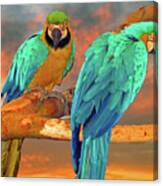 Parrots At Sunset Canvas Print