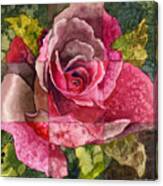 Partitioned Rose Iii Canvas Print