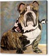 Pastel English Brindle Bull Dog Canvas Print