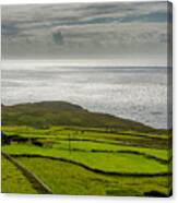 Pastures At The Coast Of Ireland Canvas Print