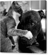 Patches And Motey Play 3 Bnw Canvas Print