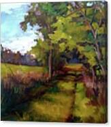 Path Between Fields Canvas Print