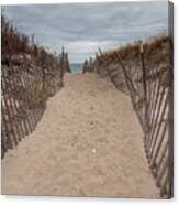 Pathway To The Beach Canvas Print