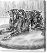 Patience - Doberman Pinscher And Puppy Print Canvas Print
