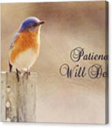 Patience Will Deliver Canvas Print