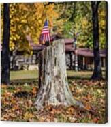 Patriotic Tree Stump Canvas Print