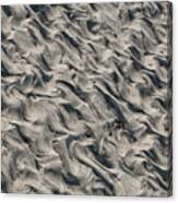 Patterns In Sand 5 Canvas Print