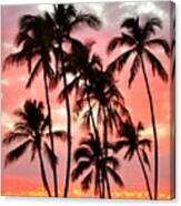 Peachy Palms Canvas Print