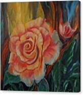Peachy Rose Canvas Print