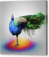 Peacock Pose Canvas Print