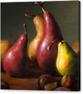 Pears With Chestnuts Canvas Print