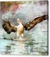 Pelican Art 00174 Canvas Print