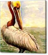 Pelican At Rest Canvas Print
