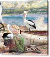 Pelican Cove Canvas Print