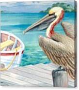 Pelican Dory Canvas Print
