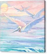 Pelican Flight Canvas Print