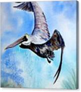 Pelican In Flight Canvas Print