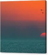 Pelican Squad At Sunset Canvas Print