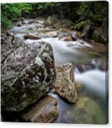 Pemi-basin Trail Canvas Print