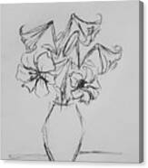 Pencil Sketch Of Lily Canvas Print