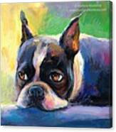 Pensive Boston Terrier Painting By Canvas Print