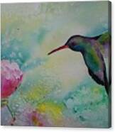 Peony And Hummingbird Canvas Print
