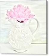 Peony In A Pitcher Canvas Print