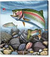 Perfect Drift Rainbow Trout Canvas Print
