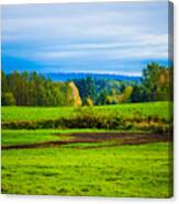 Perfect Place For A Meadow Canvas Print