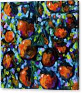 Persimmons Canvas Print