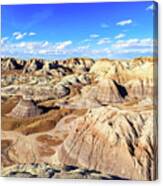 Petrified Forest Iv Canvas Print