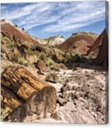 Petrified Wood In The Painted Desert Canvas Print