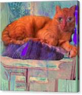 Phoenix Rescue Cat Love Canvas Print
