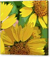 Yellow Wildflowers Photograph Ii Canvas Print