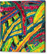 Picasso Paintbrush Croton Canvas Print