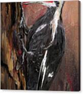 Pileated Woodpecker Art Canvas Print