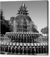Pineapple Fountain Charleston Sc Black And White Canvas Print