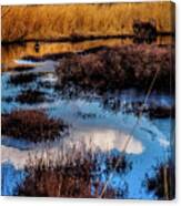 Pineland Cloud Reflections Canvas Print