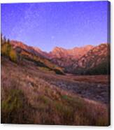 Piney Stars Canvas Print