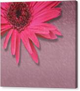 Pink And Purple Canvas Print