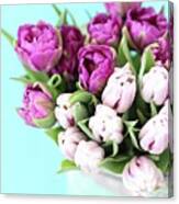 Pink And Purple Tulips Canvas Print
