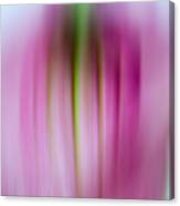 Pink Blur Canvas Print
