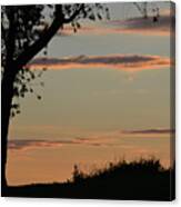 Pink Clouds And Tree Canvas Print