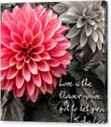 Pink Dahlia With John Lennon Quote Canvas Print