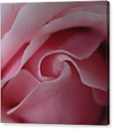 Pink Rose Swirl Canvas Print